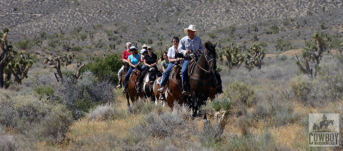 A groupf of riders in a Joshua Tree forest while Horseback Riding in Las Vegas at Cowboy Trail Rides in Red Rock Canyon